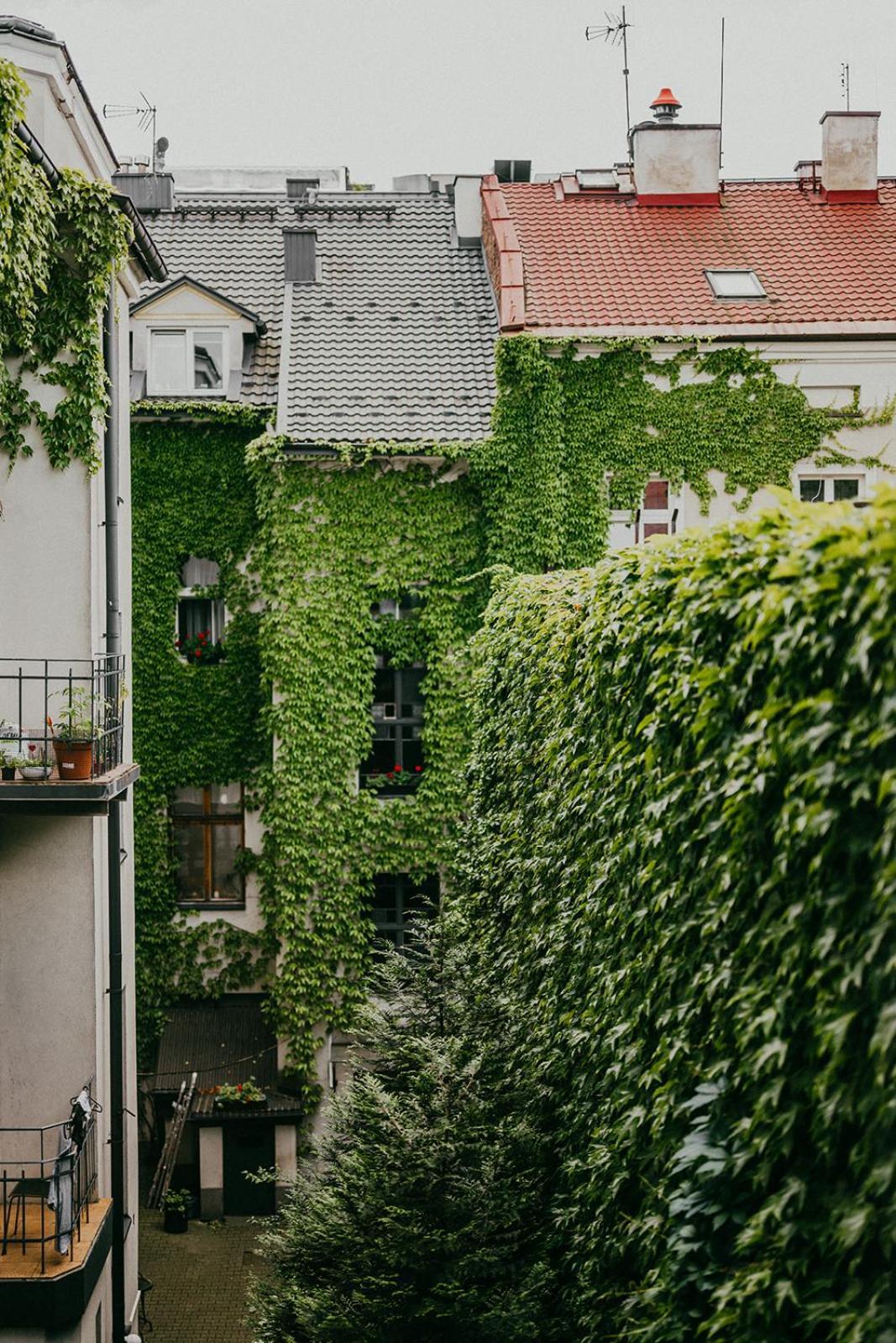 Antique Apartments Old Town Krakow Exterior photo